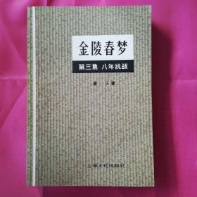 金陵春梦（第三集）八年抗战