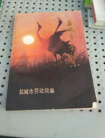 盐城市劳动志