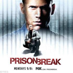 Prison Break Season 1 越狱第1季/破茧狂龙 盒装 （DVD 10张）