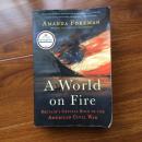A World on Fire: Britain's Crucial Role in the American Civil War （英文原版）