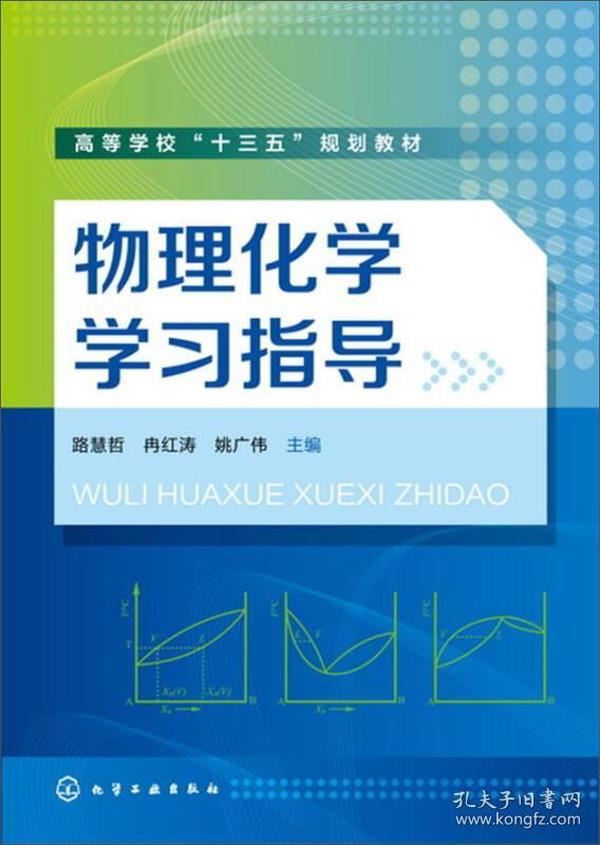 物理化学学习指导/高等学校“十三五”规划教材