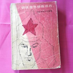 钢铁是怎样炼成的
