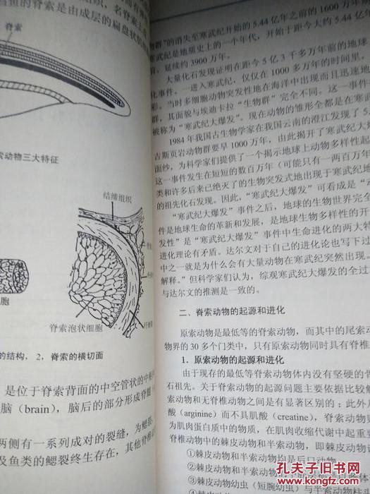 精英教案  基础生物学教程  中册  内无笔迹