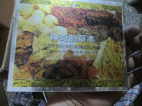 神奇的草本