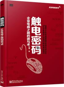 实战电商系列·触电密码：企业电商之路的道与术（全彩）