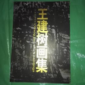中国当代艺术家 王建树画集