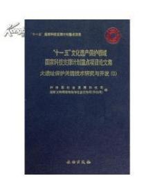 大遗址保护关键技术研究与开发（Ⅱ）(精)