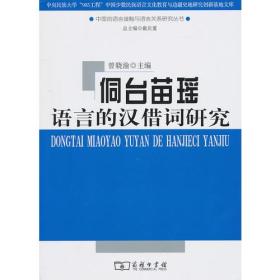 中国的语言接触与语言关系研究丛书：侗台苗瑶语言的汉借词研究