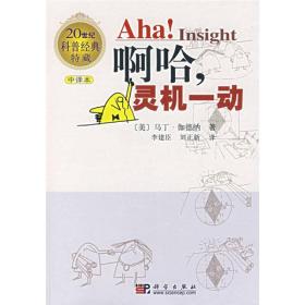 Aha!Insight 啊哈，灵机一动 (中译本)