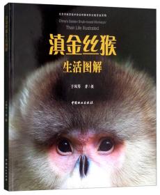 滇金丝猴生活图解（2019年）