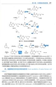 药物化学(第7版)(附光盘)尤启冬人卫版9787117144346