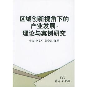 区域创新视角下的产业发展：理论与案例研究