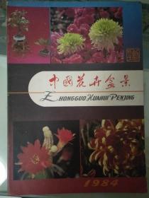 《中国花卉盆景》创刊号