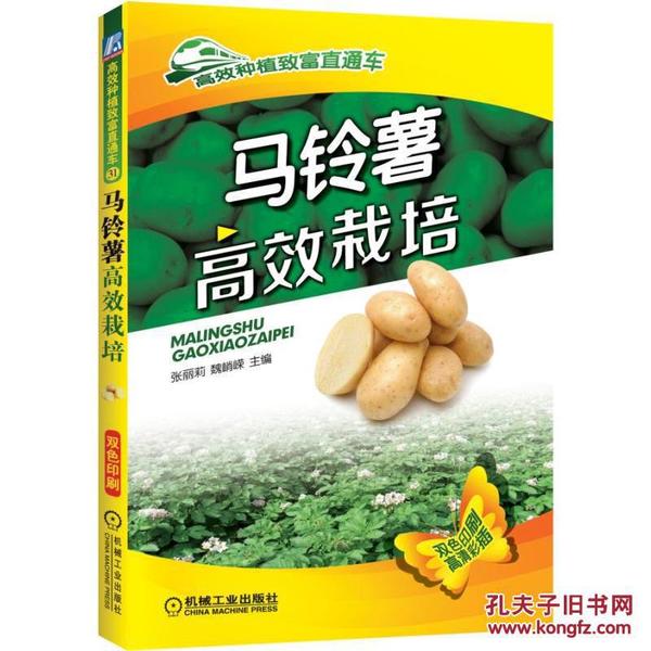 土豆种植技术教学书籍 马铃薯高效栽培