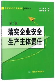 落实企业安全生产主体责任（第2版）/企业安全生产主体责任系列丛书