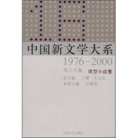 中国新文学大系1976-2000（第16集·微型小说卷）