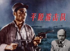 正版包邮 红色经典 平原游击队