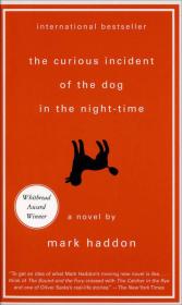 The Curious Incident of the Dog in the Night-Time