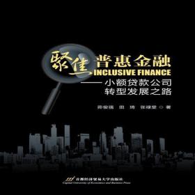 聚焦普惠金融——小额贷款公司转型发展之路 只供网店