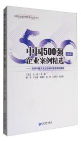 中国500强企业案例精选（第二辑）