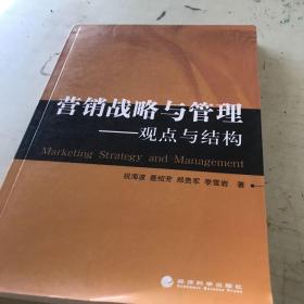 营销战略与管理：观点与结构