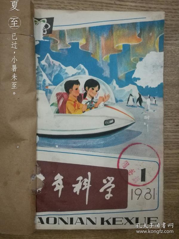 少年科学（1981年第1、2、4、5、6、8、9、10、12期共9本）