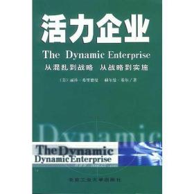 活力企业--从混乱到战略,从战略到实施