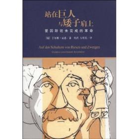 站在巨人与矮子肩上：爱因斯坦未完成的革命