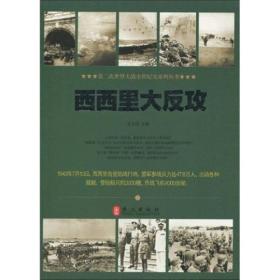 第二次世界大战全程记实系列丛书——西西里大反攻