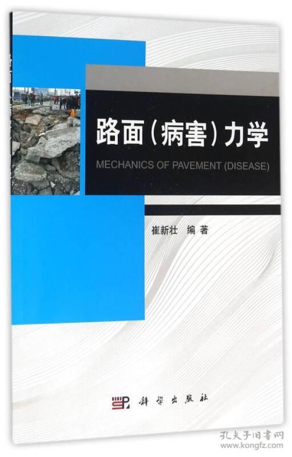 路面（病害）力学