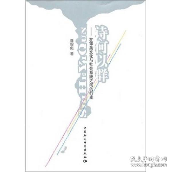 诗何以群——在审美文化与社会系统之间的行走