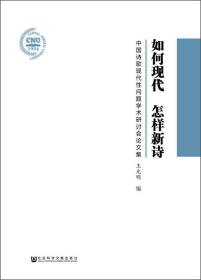 如何现代 怎样新诗：中国诗歌现代性问题学术研讨会论文集