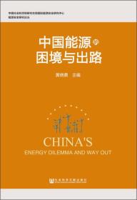 中国能源的困境与出路
