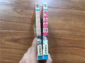 日文漫画 大甲子园 第11、18卷共2本合售 水岛新司 秋田