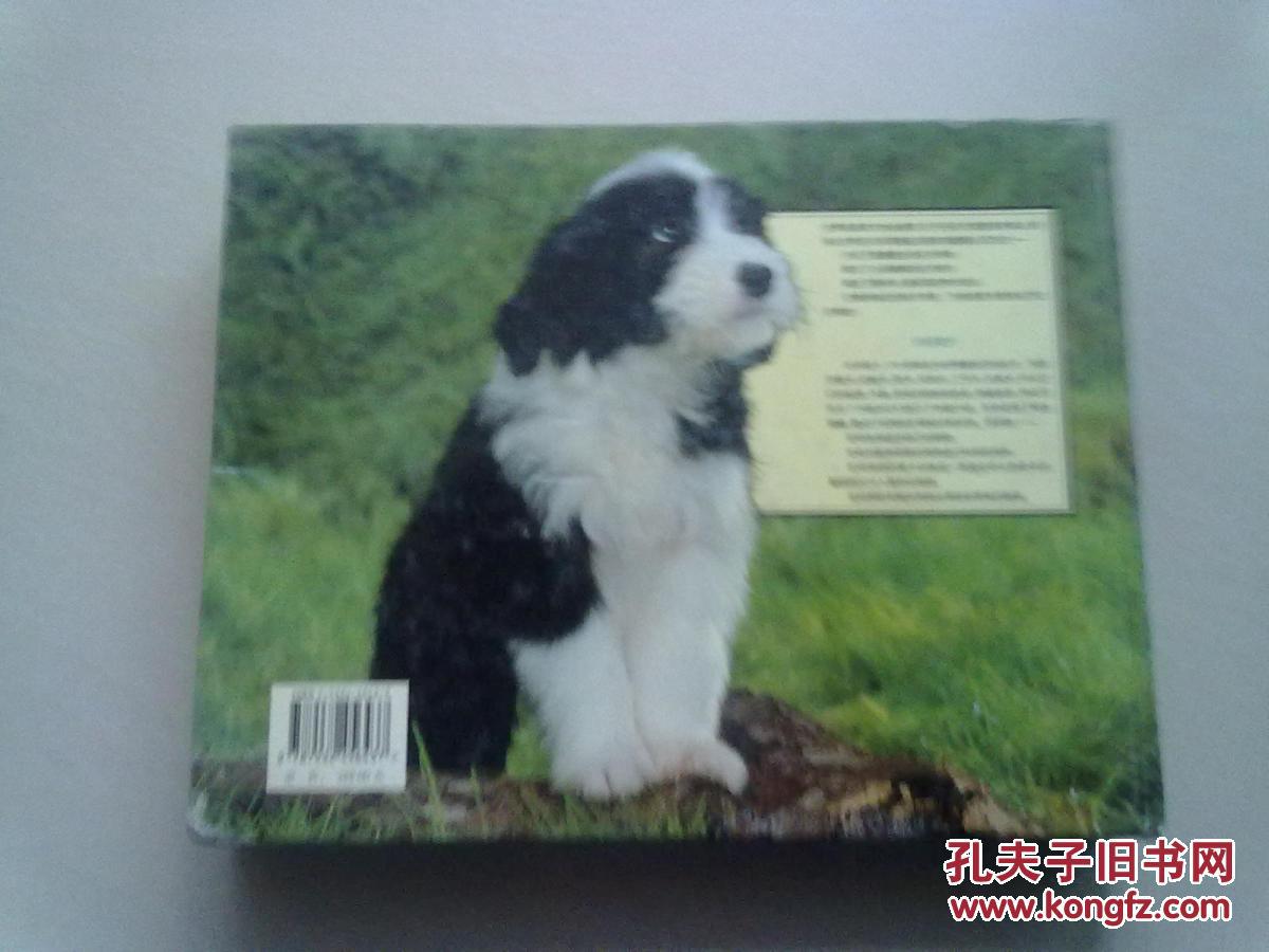 世界名犬实用图鉴【2003年7月一版一印】16开精装本厚册 详细品相见描述