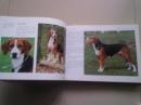 世界名犬实用图鉴【2003年7月一版一印】16开精装本厚册 详细品相见描述