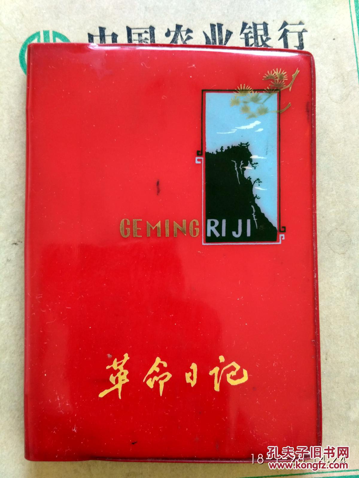 革命日记