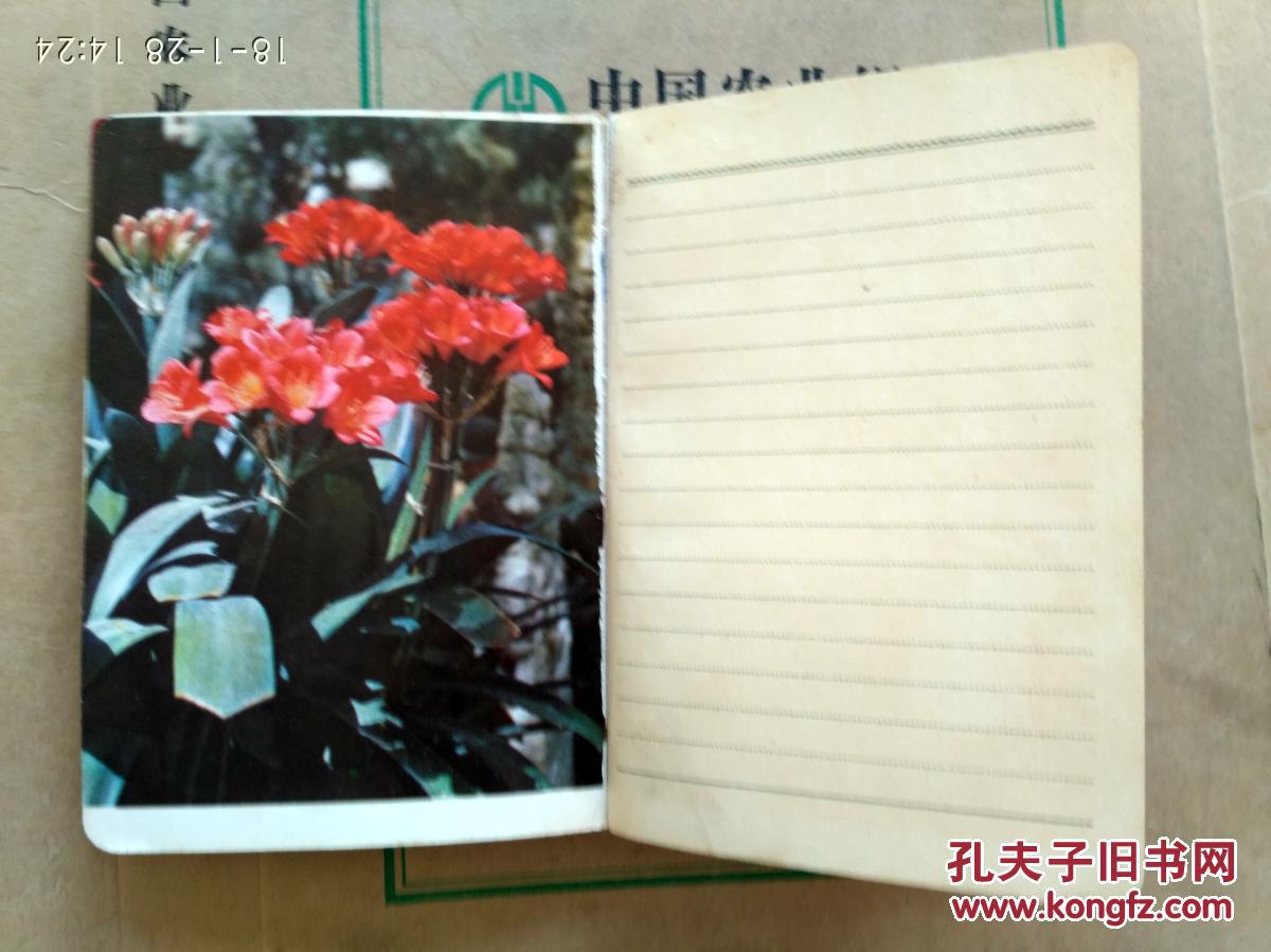 革命日记