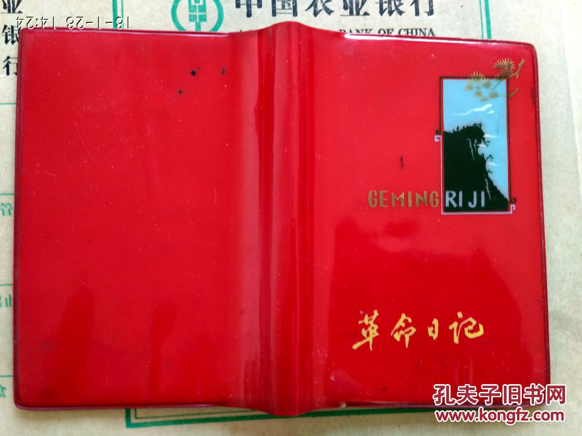 革命日记