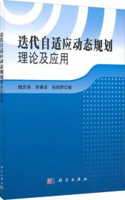 迭代自适应动态规划理论及应用