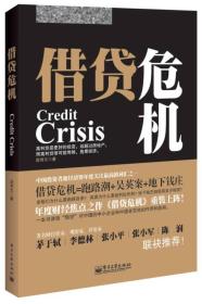 借贷危机 段育文 电子工业出版社