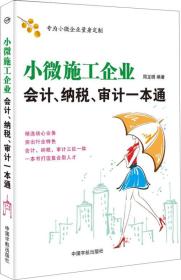 小微施工企业 会计、纳税、审计一本通