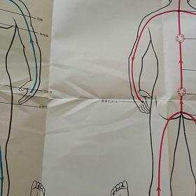 中国百家气功经络行气彩色挂图+养生秘宝――中国百家气功经络行气....一袋含挂图及资料