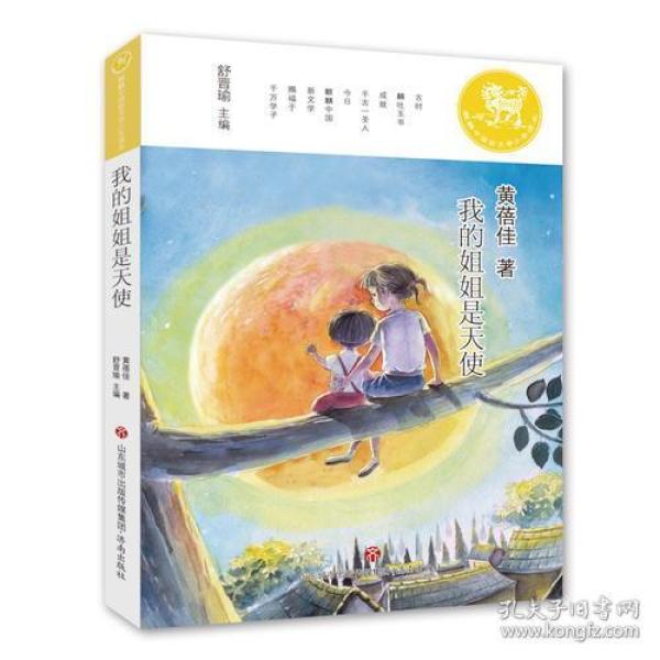 麒麟中国新文学少年读本·我的姐姐是天使