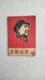 支部生活1968—1