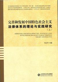 完善和发展中国特色社会主义法律体系的理论与实践研究（上下册）