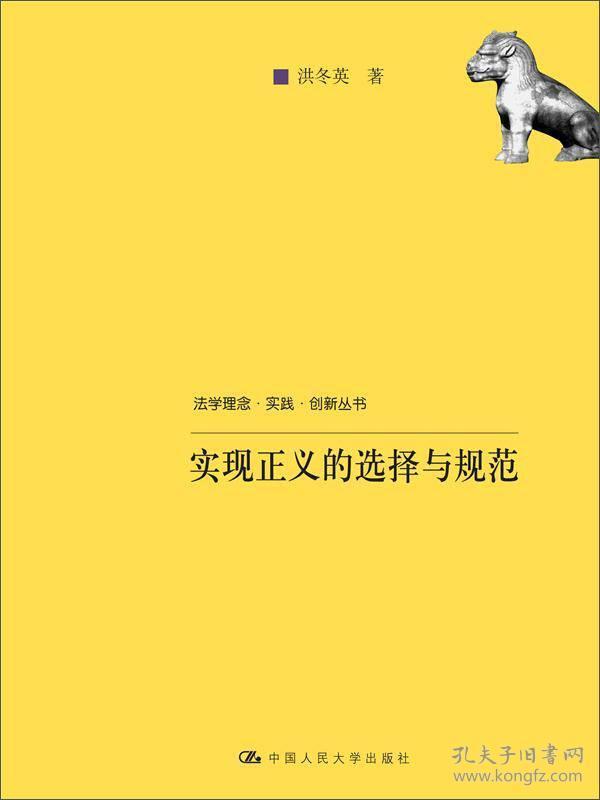 法学理念·实践·创新丛书：实现正义的选择与规范