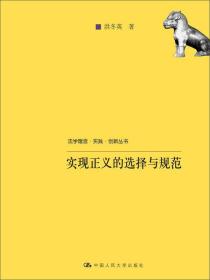 法学理念·实践·创新丛书：实现正义的选择与规范