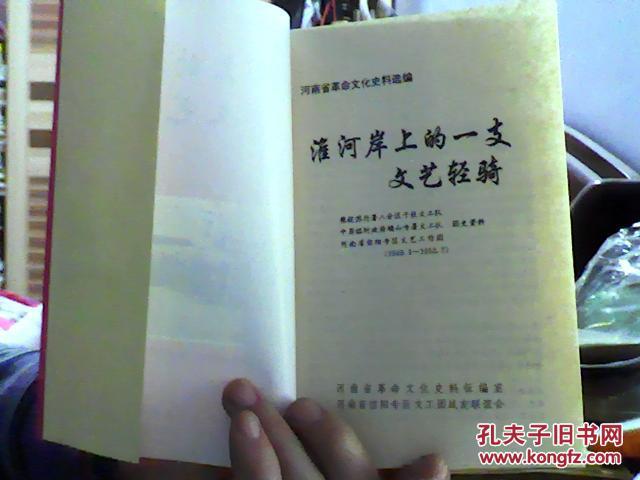 淮河岸上的一支文艺轻骑 （带多幅图片）（32开）沙南1架--1竖--12