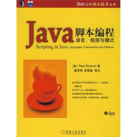 Java脚本编程：语言、框架与模式